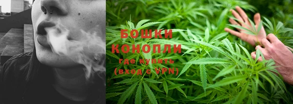 стаф Лихославль
