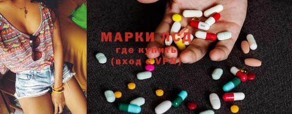 стафф Магадан
